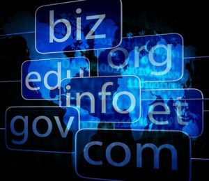 Domain Name, Domain Name Disputes, Domain Disputes, Trademark, Intellectual Property